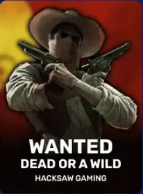 Wanted Dead or a Wild bij Koning casino